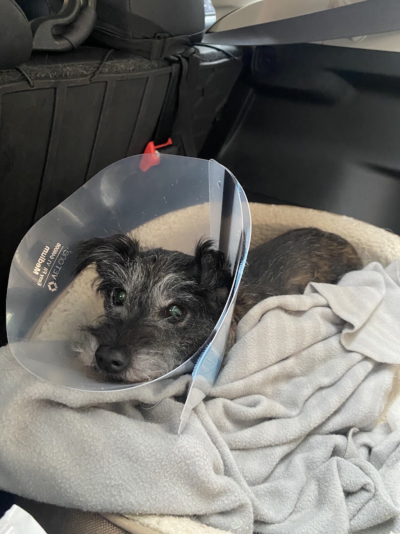 Riverbend Veterinary Care