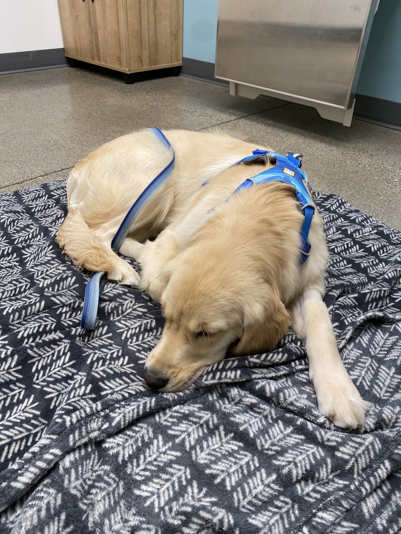 Riverbend Veterinary Care - Portland