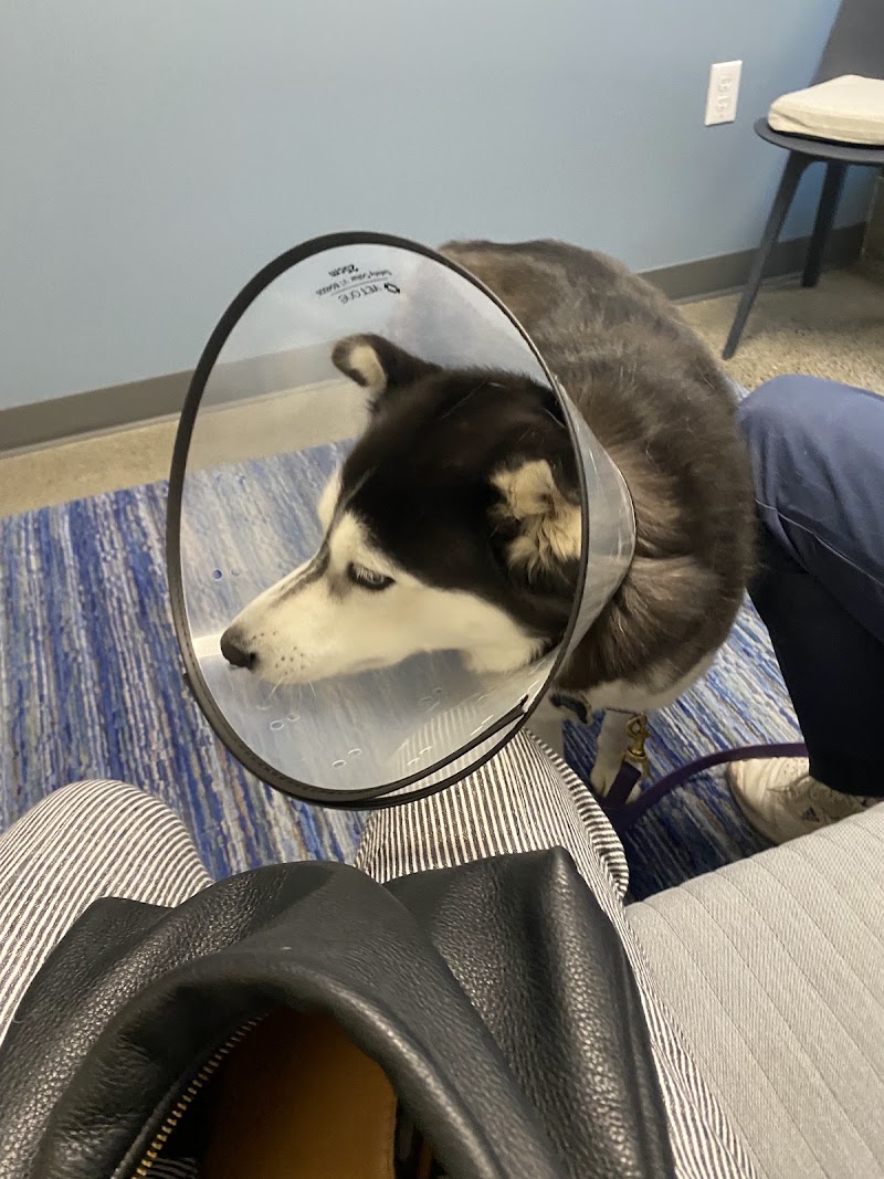 Riverbend Veterinary Care
