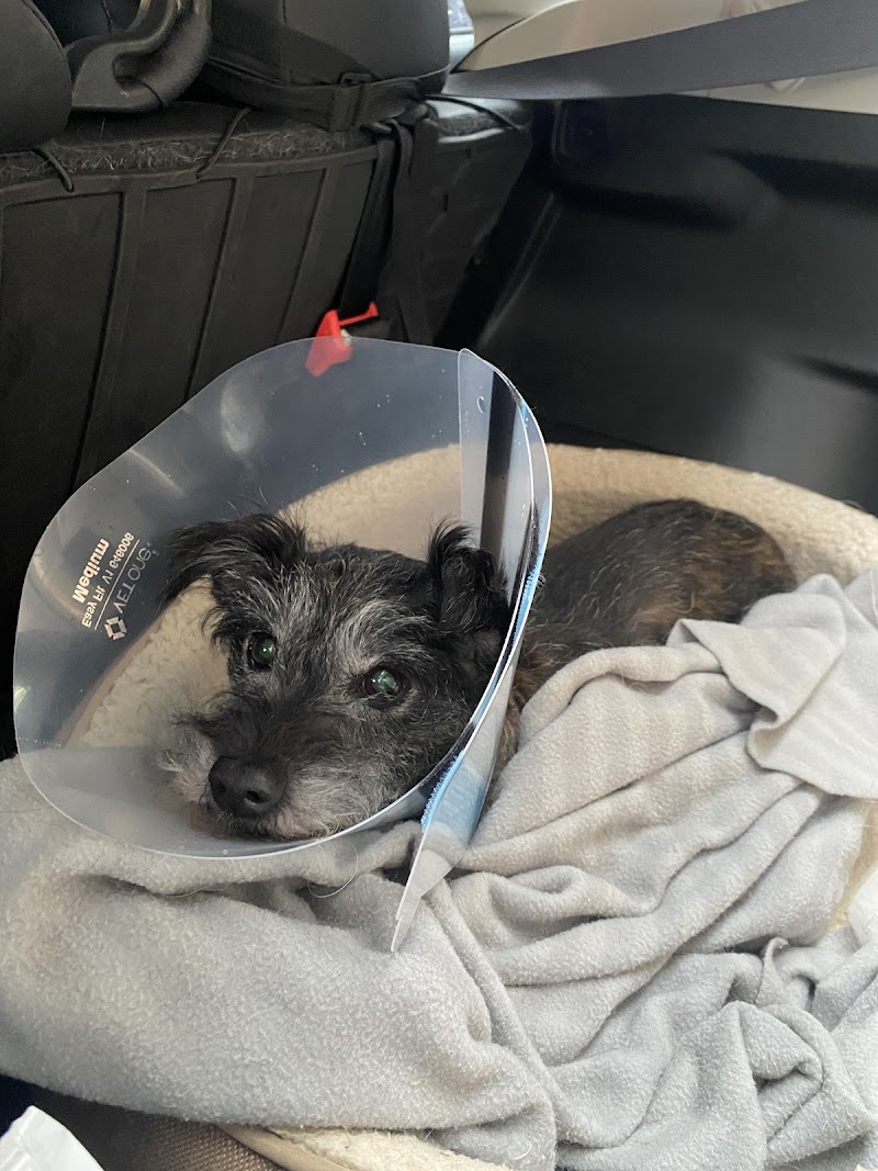 Riverbend Veterinary Care