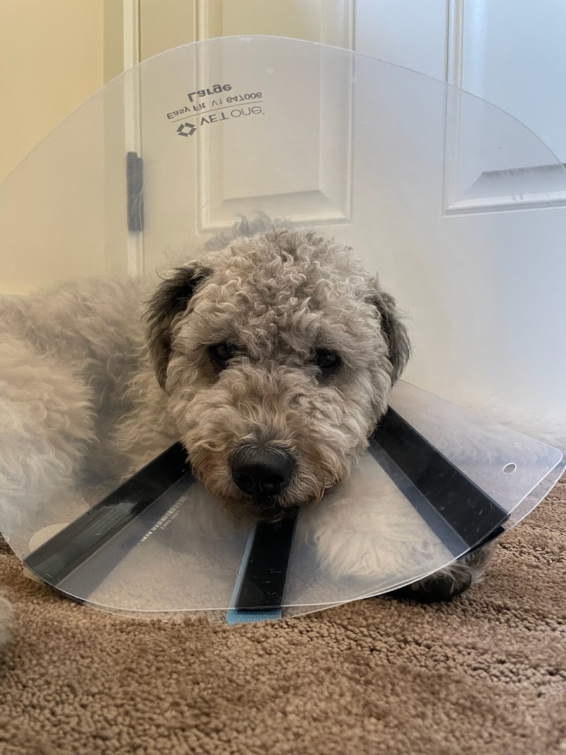 Riverbend Veterinary Care
