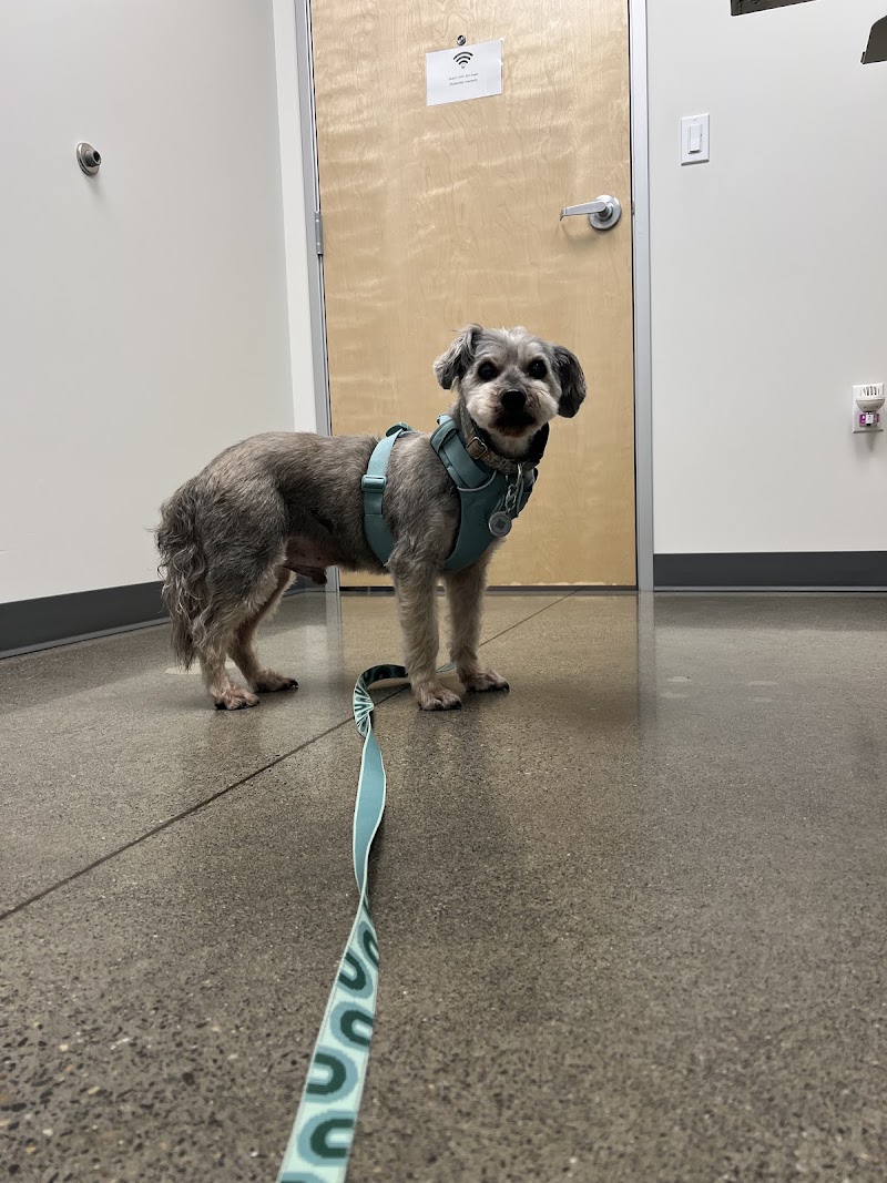 Riverbend Veterinary Care