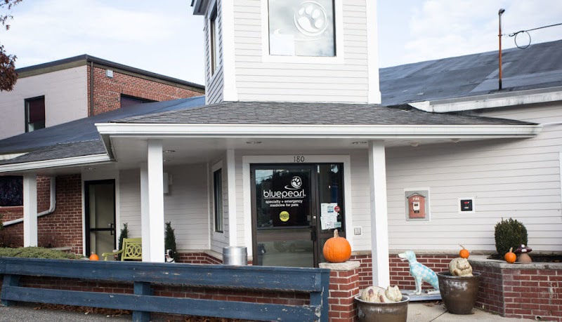 BluePearl Pet Hospital Framingham
