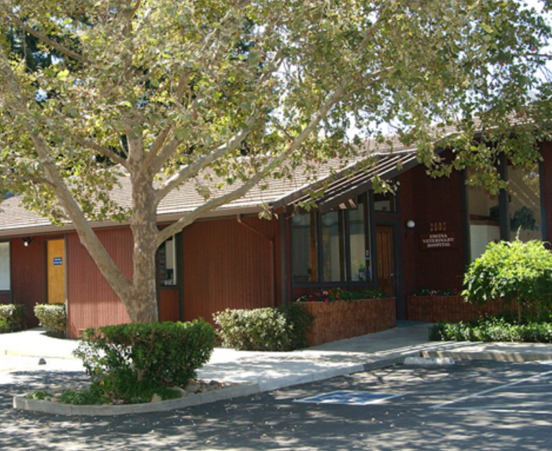 VCA Encina Veterinary Medical Center