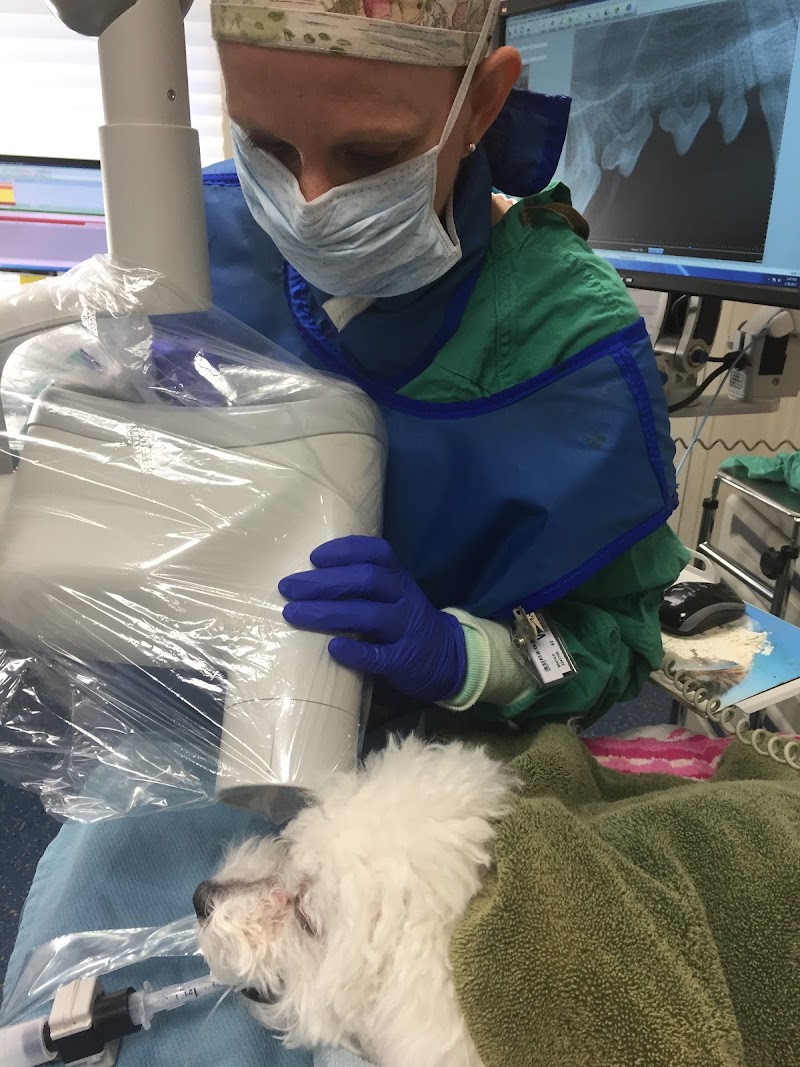 VCA Encina Veterinary Medical Center