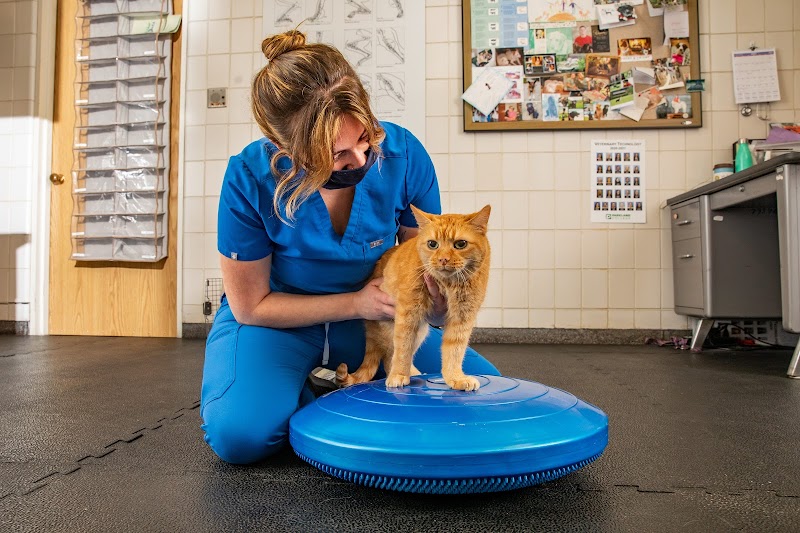 University of Illinois Veterinary Teaching Hospital