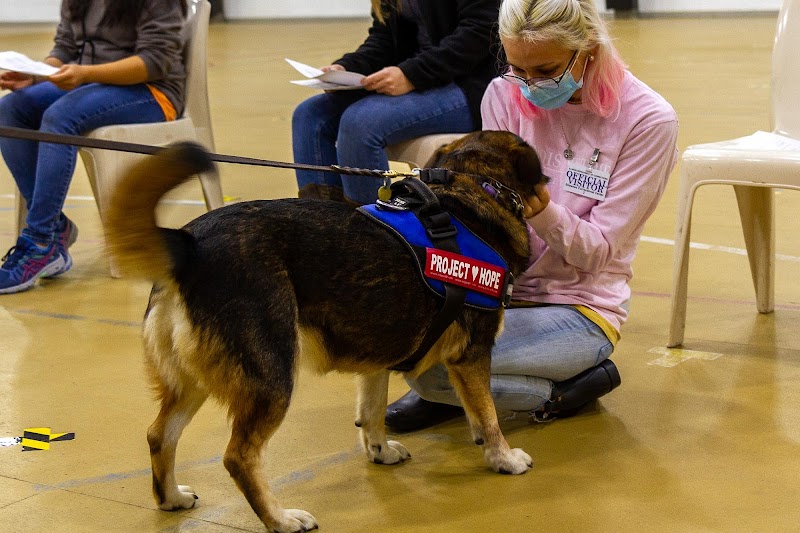 University of Illinois Veterinary Teaching Hospital