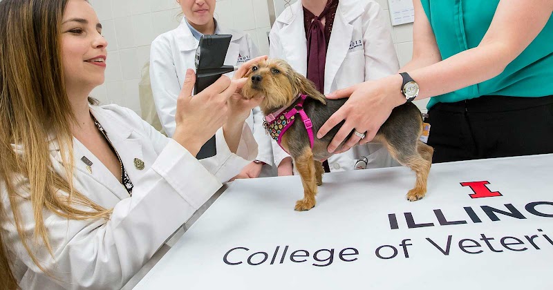 University of Illinois Veterinary Teaching Hospital - Chicago