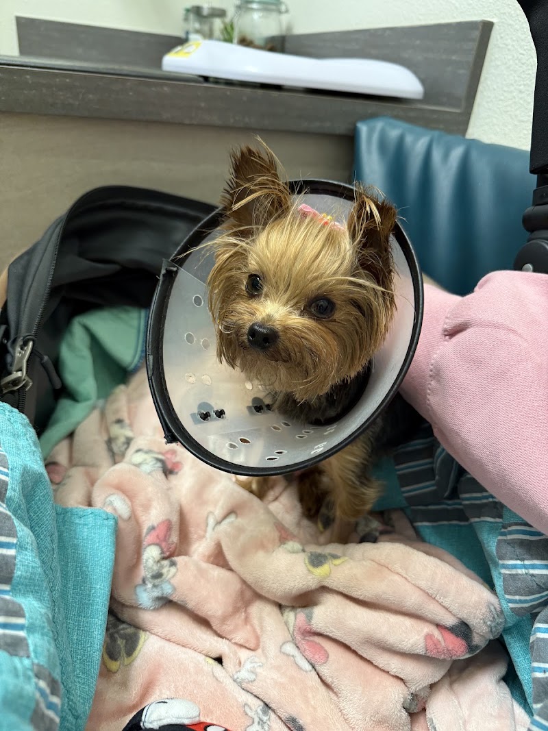 Atlas Pet Vets