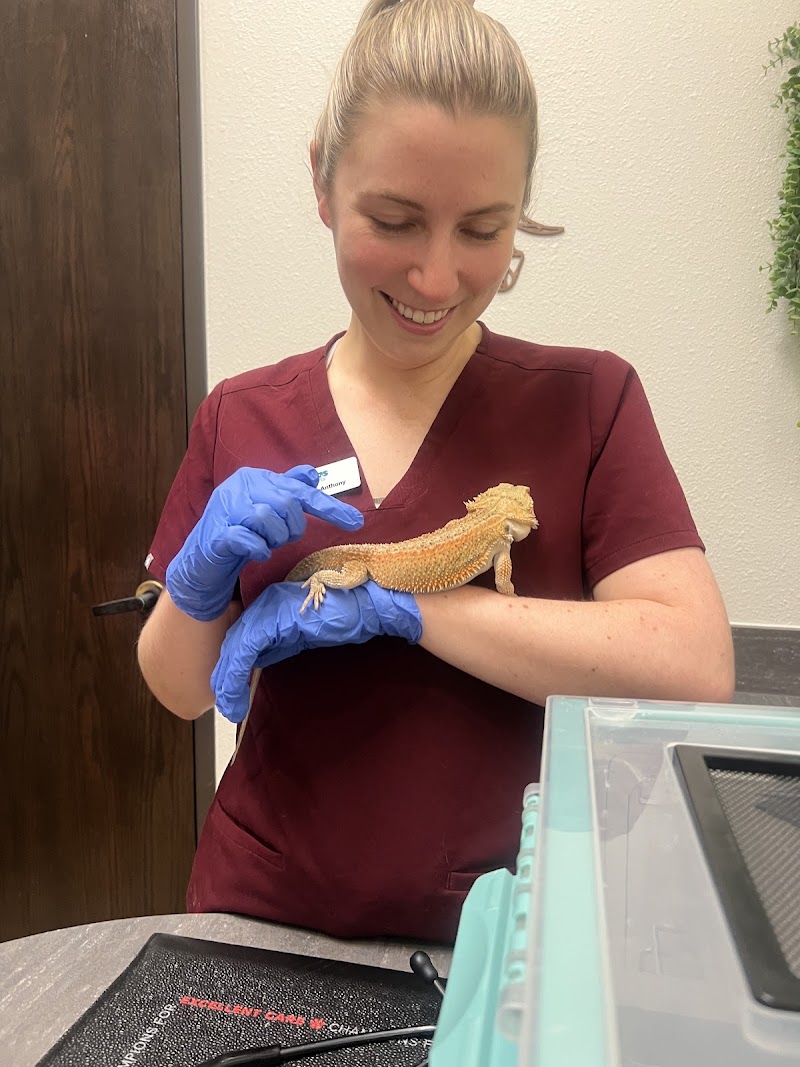 Atlas Pet Vets
