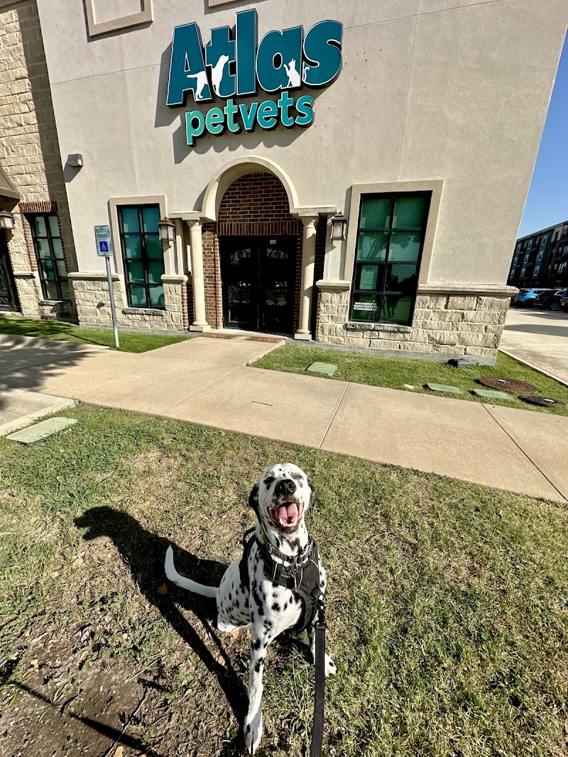Atlas Pet Vets