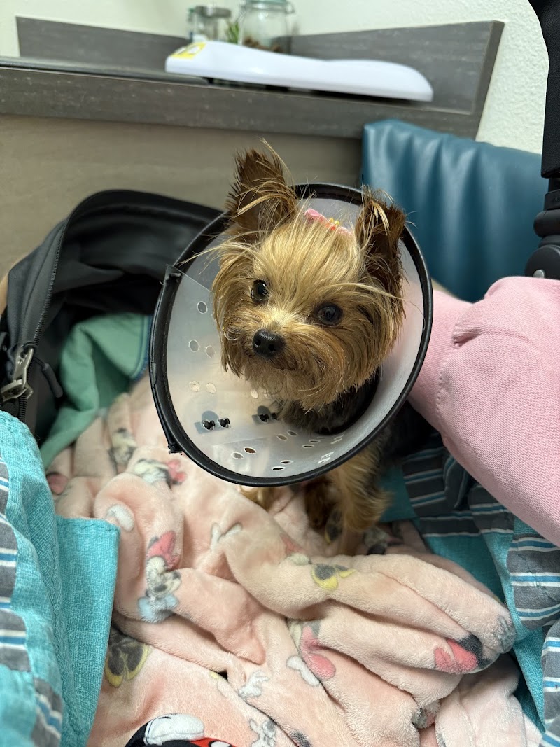 Atlas Pet Vets