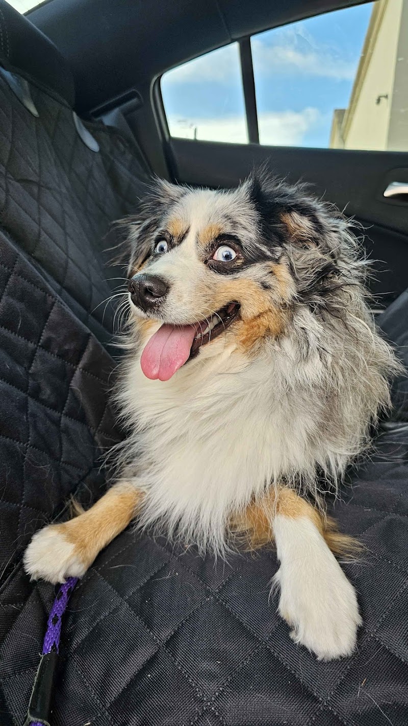 Atlas Pet Vets