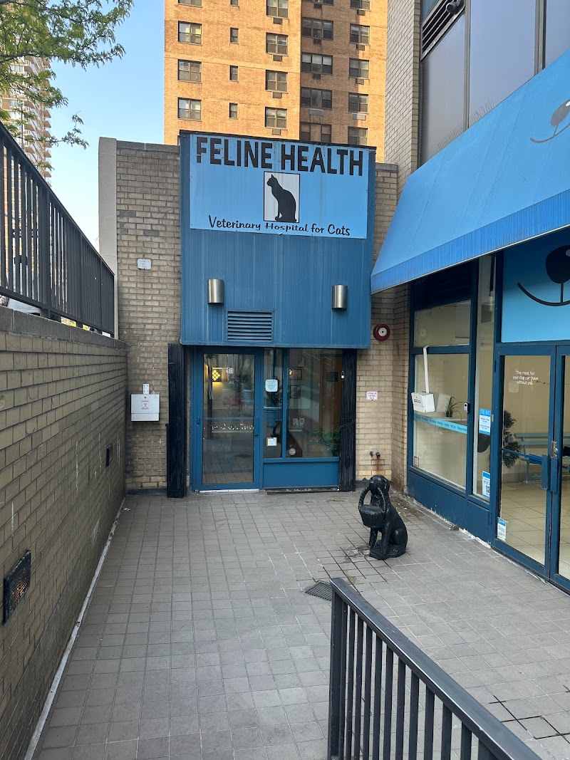 Feline Health