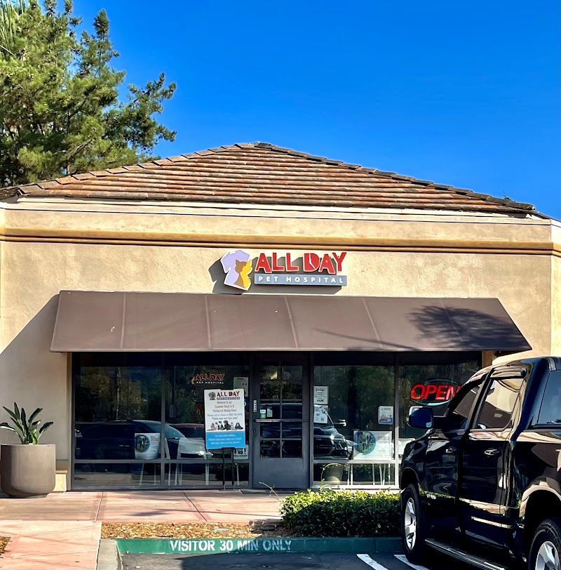 All Day Pet Hospital