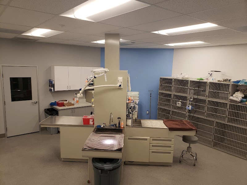 All Day Pet Hospital