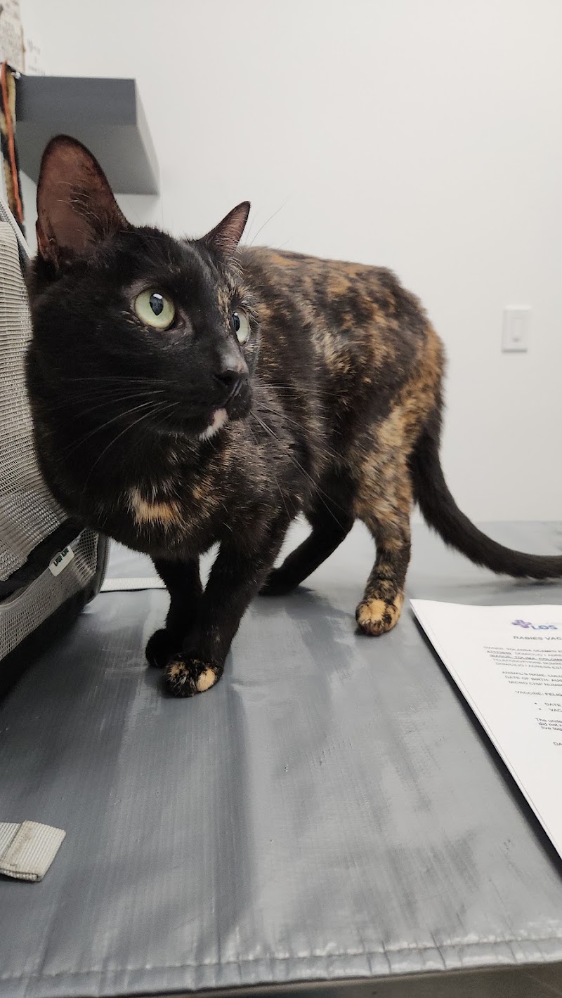 Skyline Animal Hospital
