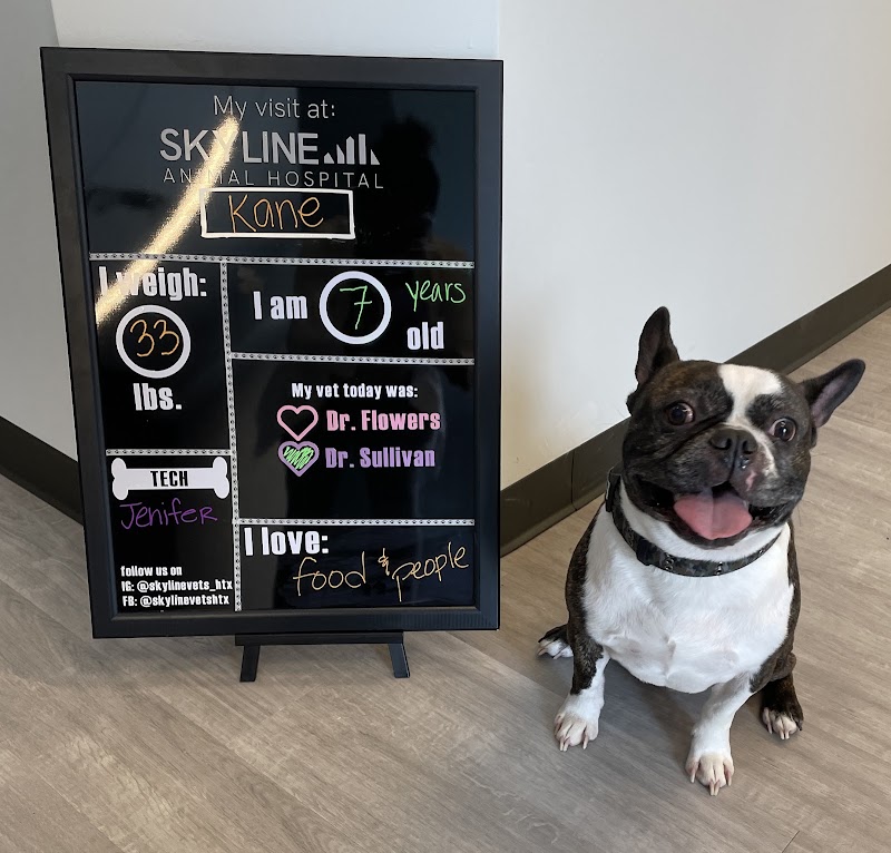 Skyline Animal Hospital