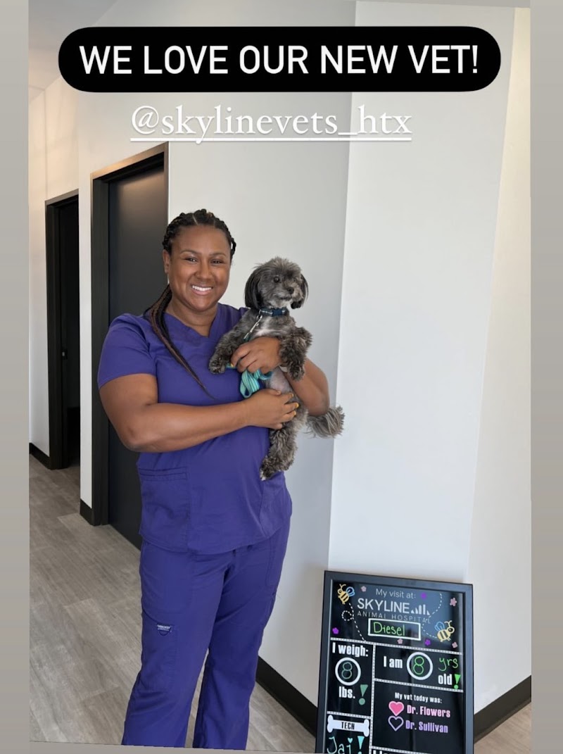Skyline Animal Hospital