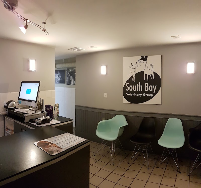 South Bay Veterinary Group