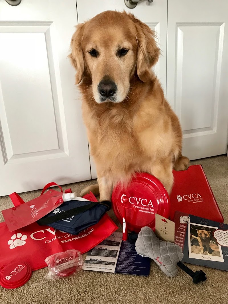 CVCA Cardiac Care For Pets