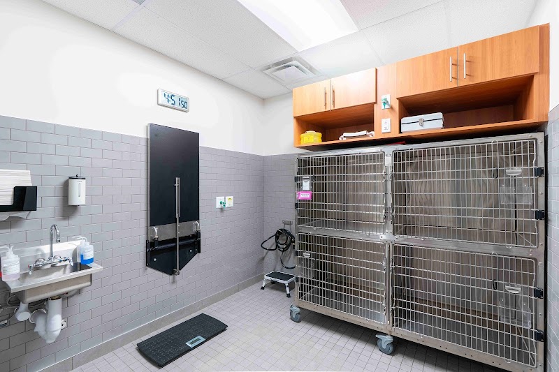 Veterinary Emergency Group
