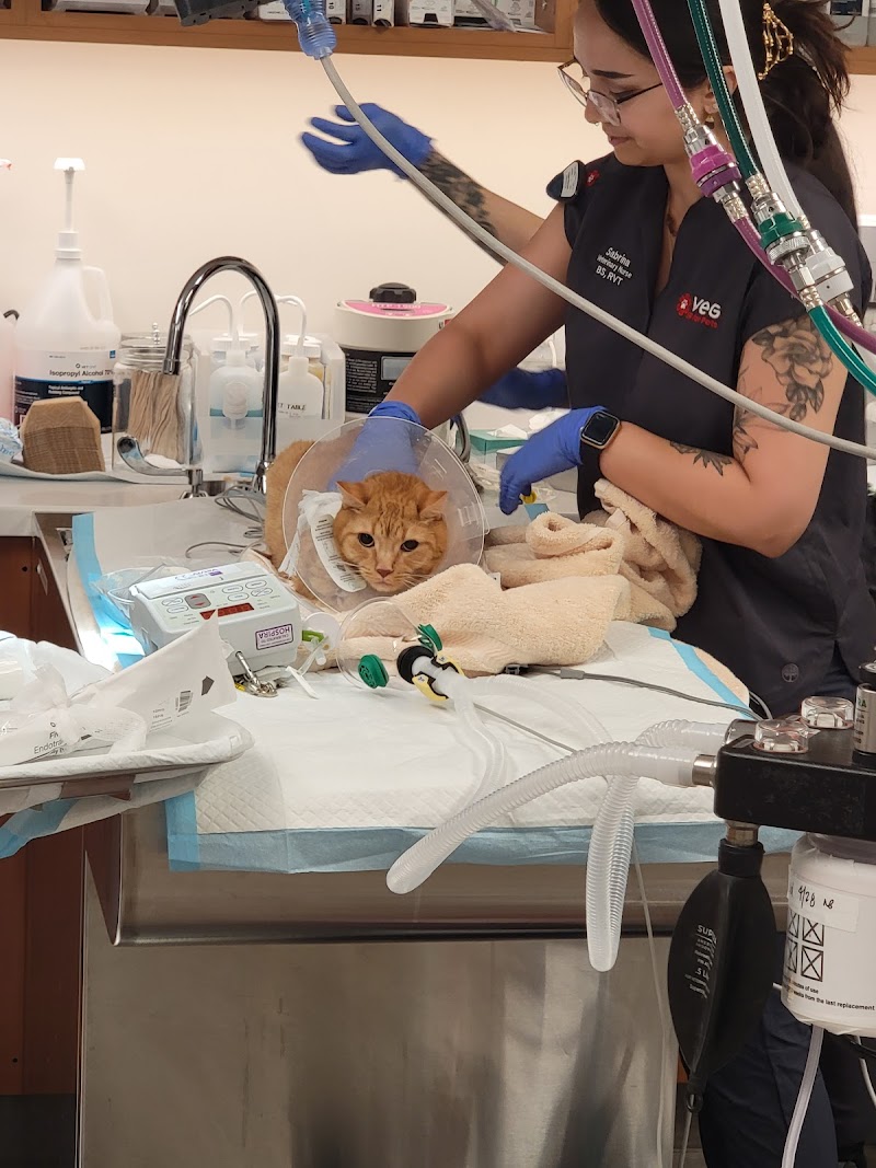 Veterinary Emergency Group