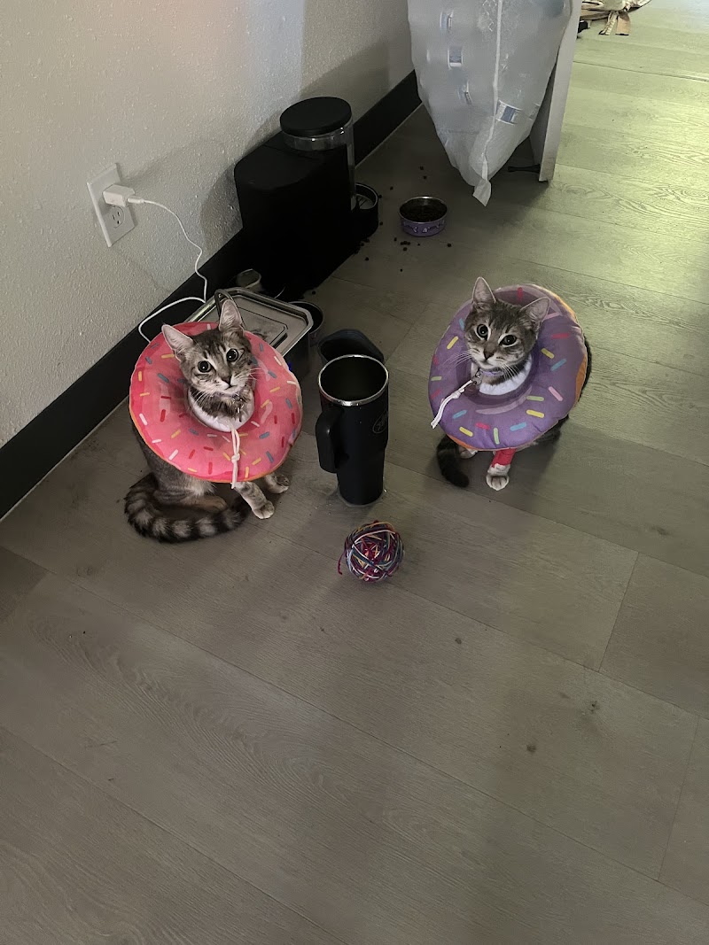 Portland Veterinary Wellness Center