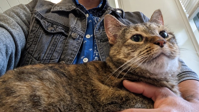 Portland Veterinary Wellness Center