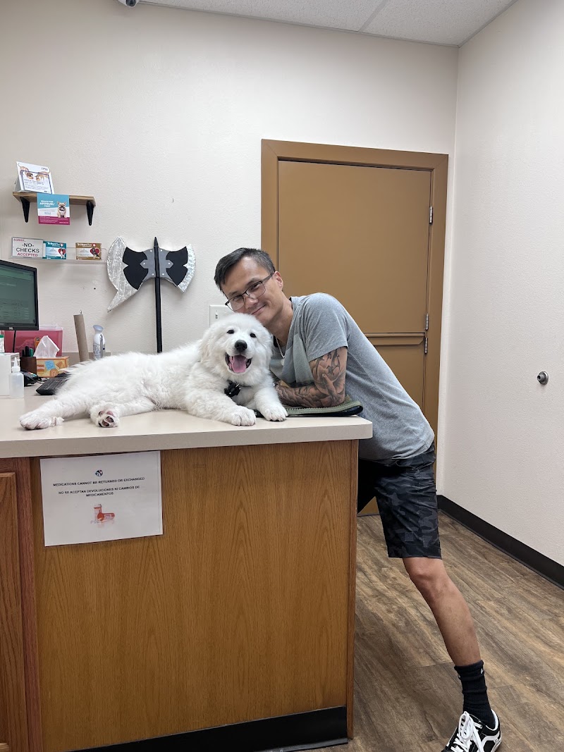 Low Cost Pet Vet