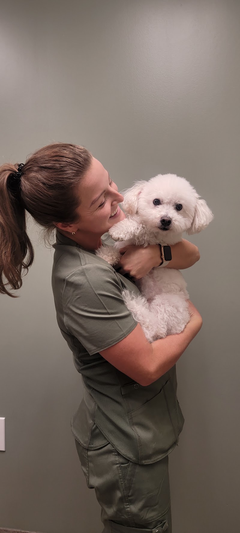 Gwinnett Animal Clinic
