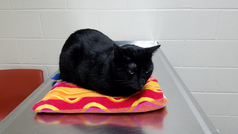 Gwinnett Animal Clinic