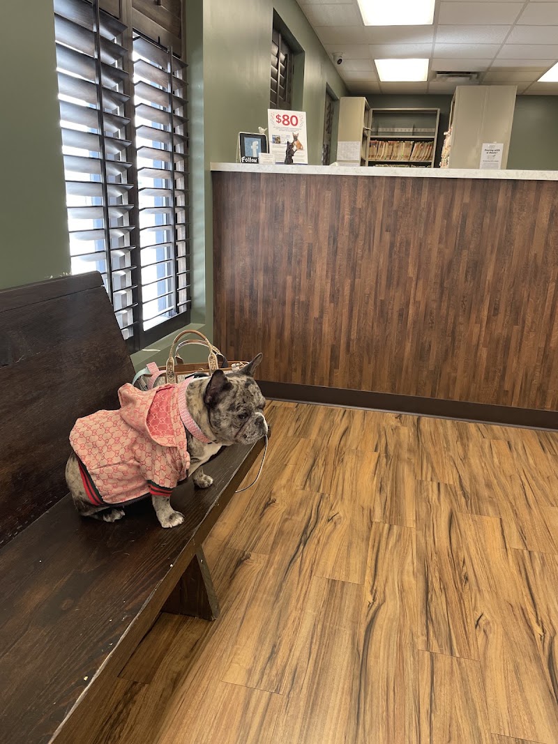 Gwinnett Animal Clinic