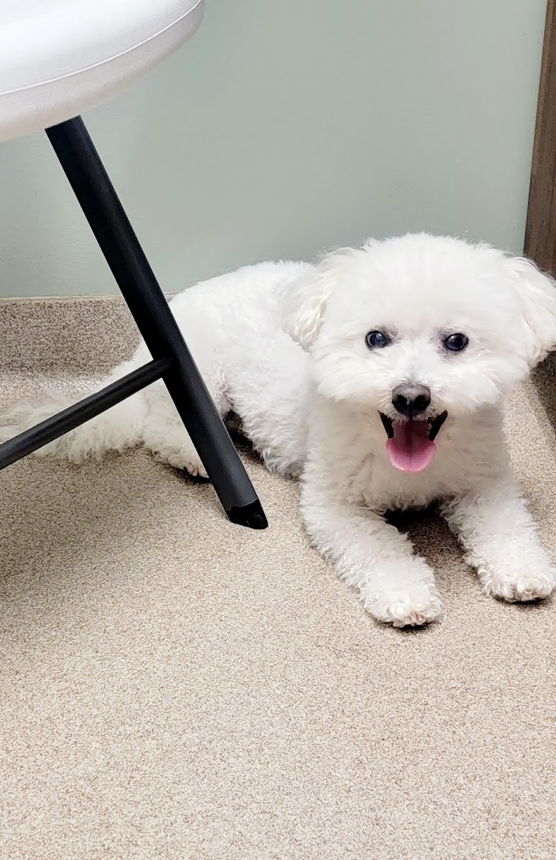 Gwinnett Animal Clinic