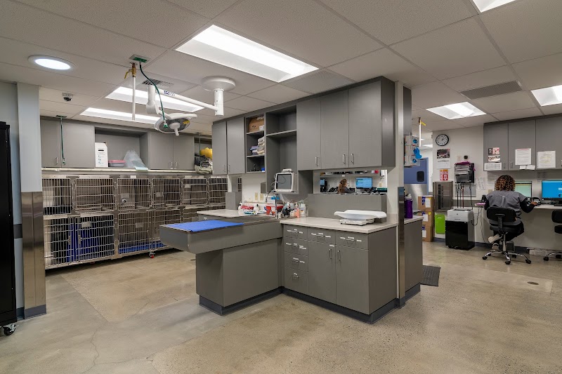 Animal Medical Center of Seattle Specialty Clinic