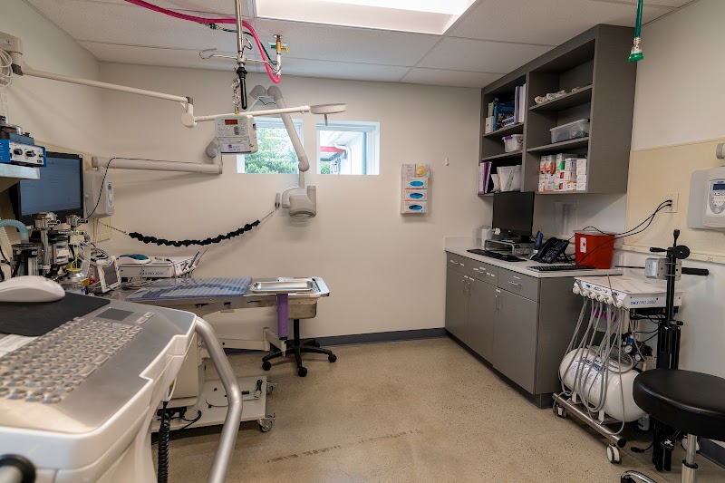 Animal Medical Center of Seattle Specialty Clinic - Shoreline