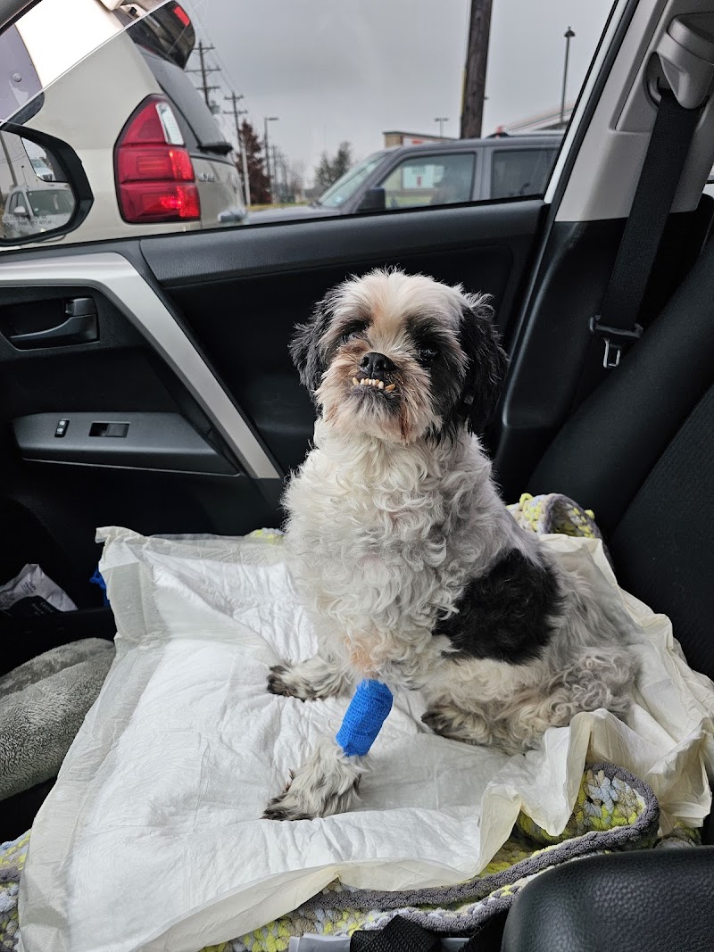 McKinney Emergency Veterinary Clinic