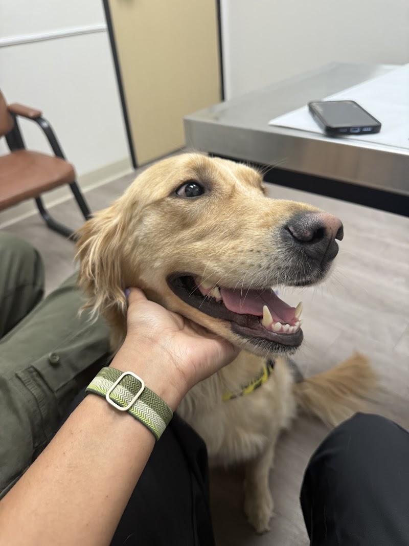 McKinney Emergency Veterinary Clinic