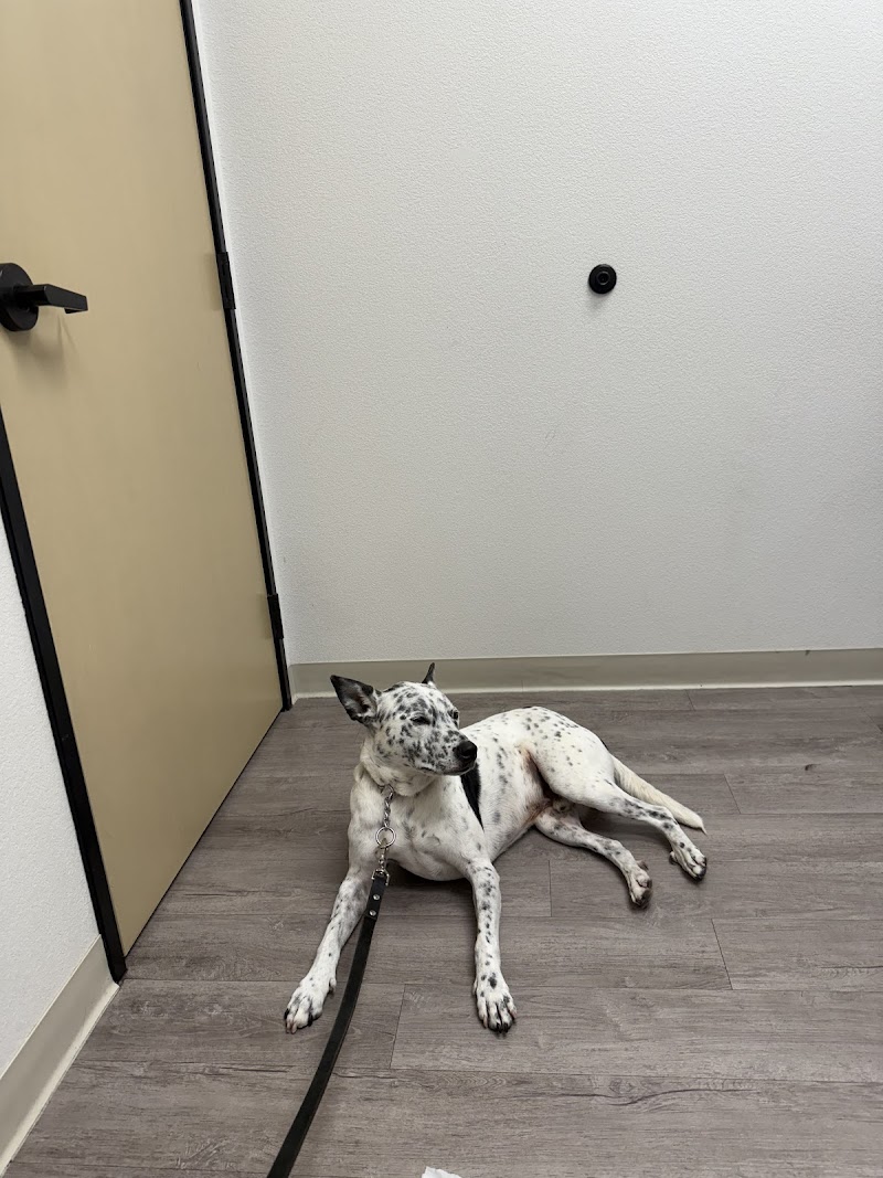 McKinney Emergency Veterinary Clinic