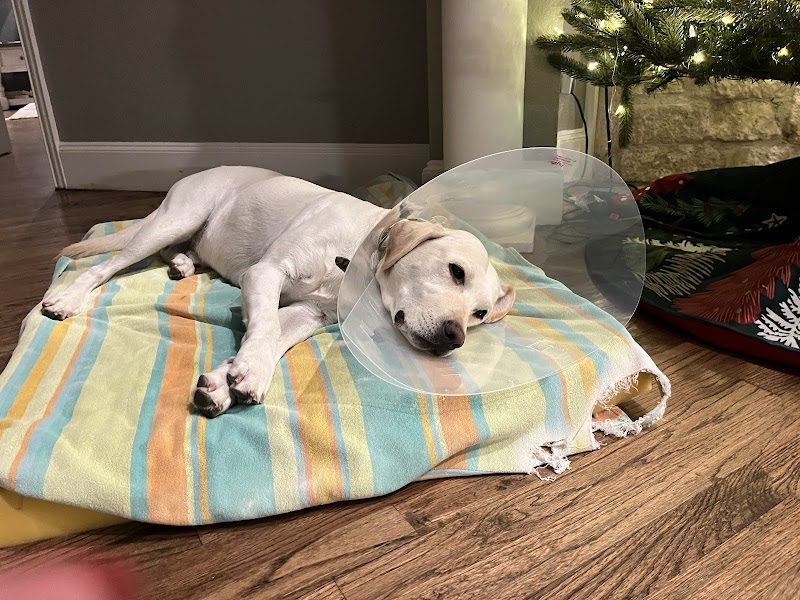 McKinney Emergency Veterinary Clinic