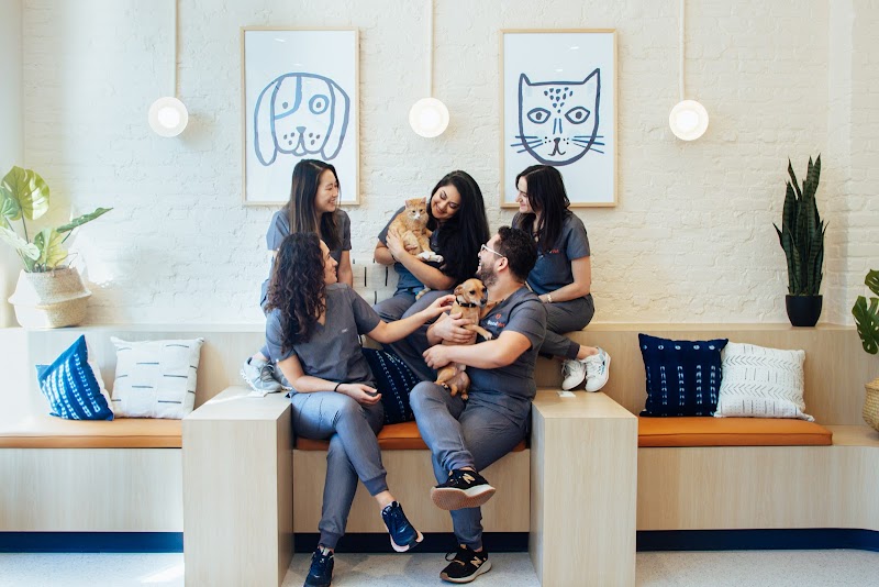 Bond Vet - Lakeview - Chicago