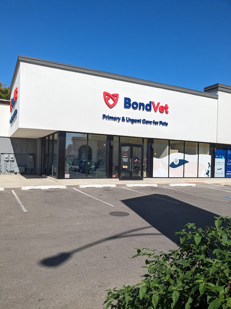 Bond Vet - Lakeview