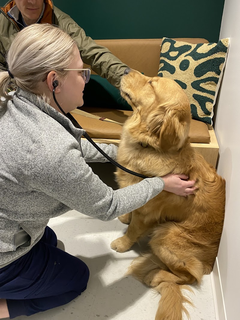 Scout Veterinary Urgent Care - Lincoln Park