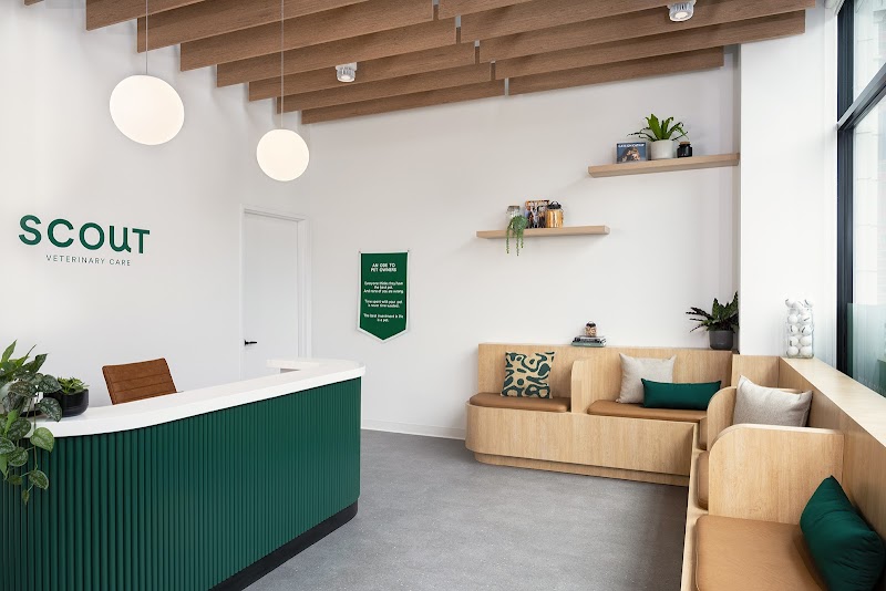 Scout Veterinary Urgent Care - Lincoln Park - Chicago