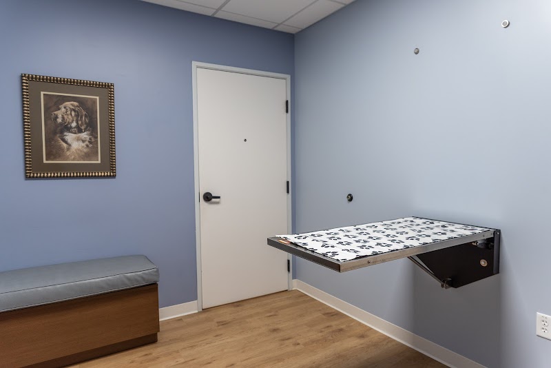 South Texas Veterinary Surgery
