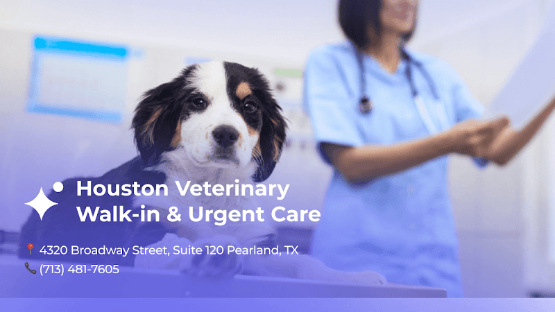 Houston Veterinary Walk-in & Urgent Care