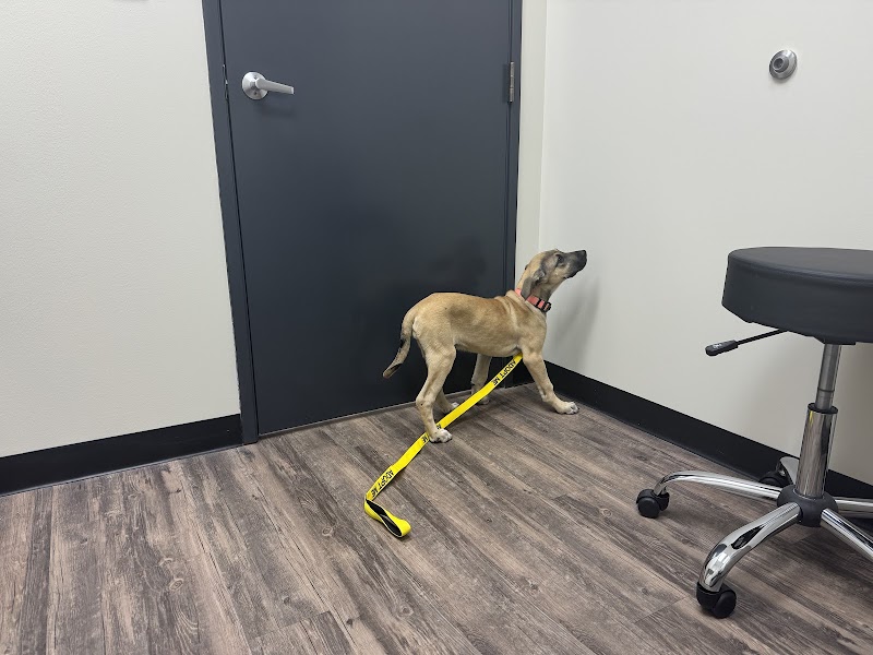Houston Veterinary Walk-in & Urgent Care