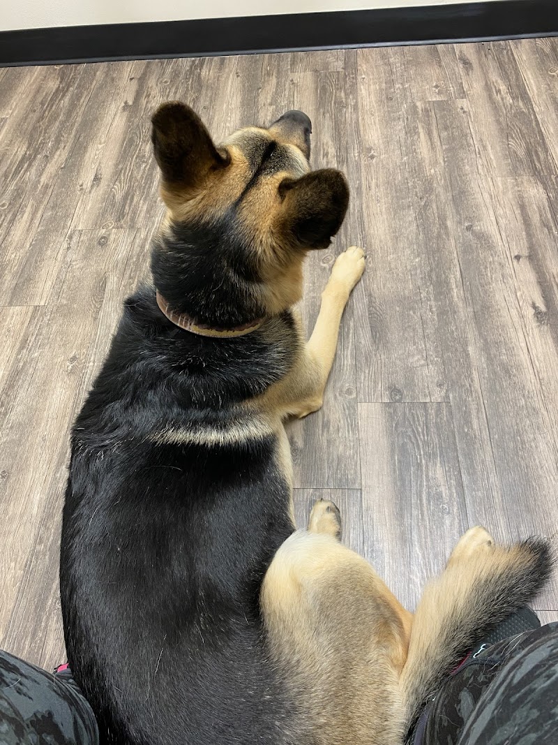 Houston Veterinary Walk-in & Urgent Care
