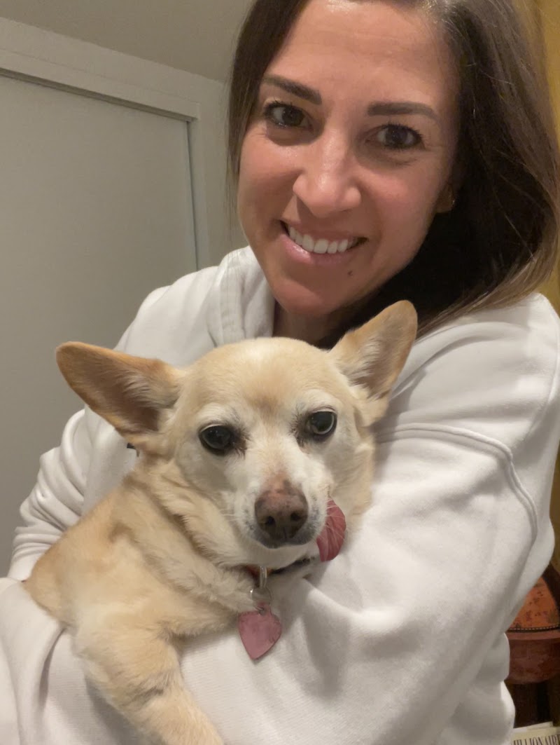 Atlanta Veterinary Dentistry
