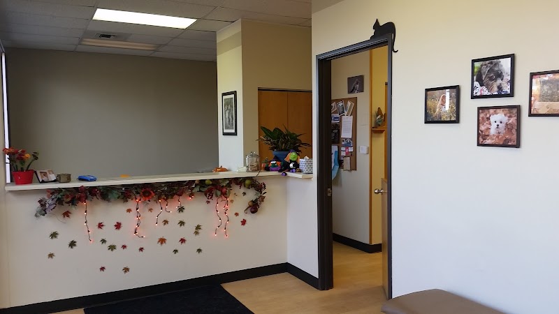 Valley Veterinary Hospital Denver